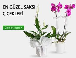 İzmir Ege Serbest Bölge Çiçekçi