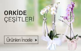 İzmir çiçekçiler butik çiçekler